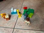 Duplo 4962 - Dieren en Verzorgster, Ophalen of Verzenden, Gebruikt, Complete set, Duplo