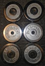 6x 5kg Zilverkleurige Halterschijven - 30mm, Sport en Fitness, Fitnessmaterialen, Ophalen, Gebruikt, Benen, Halterschijven