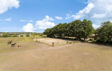 Paardenwei | weide | dierenweide | weiland | grasland beschikbaar voor biedingen