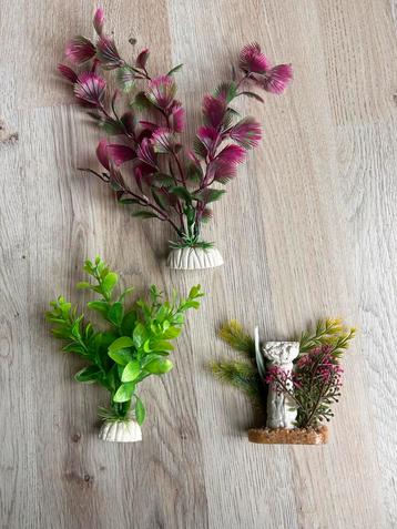 Aquarium decoratie planten beschikbaar voor biedingen