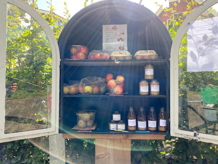 Fruit en sappen ‘, Tuin en Terras, Planten | Fruitbomen, Overige soorten, Minder dan 100 cm, Lente, Ophalen