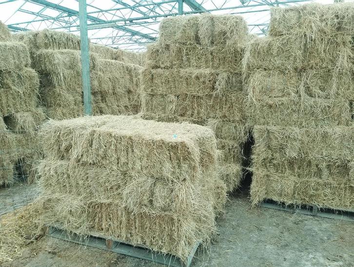 hooi te koop, Dieren en Toebehoren, Dierenvoeding, Overige soorten, Ophalen