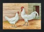 Pluimvee Kippen Ramelsloher Wit Boerderij, Van Gink., Verzamelen, Ophalen of Verzenden, 1980 tot heden, Ongelopen, Vogel