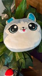 Een honden / katten kussen, Ophalen, Zo goed als nieuw