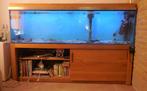 Zeeaquarium 193x41x55, Dieren en Toebehoren, Vissen | Aquaria en Toebehoren, Ophalen, Gebruikt, Leeg aquarium