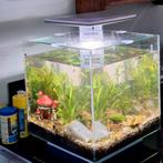 Superfish Qubic 30L wit aquarium, Dieren en Toebehoren, Ophalen, Zo goed als nieuw