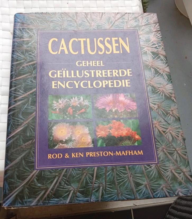 Cactussen: Geheel Geïllustreerde Encyclopedie" door Rod & Ke, Boeken, Encyclopedieën, Zo goed als nieuw, Ophalen of Verzenden