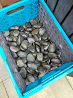 tuin keien, Tuin en Terras, Grind, Keien en Split, Ophalen, Gebruikt