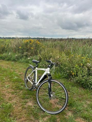 Gazelle Playa X Road beschikbaar voor biedingen