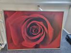 Ikea schilderij Rode roos. 140 bij 100, Ophalen of Verzenden