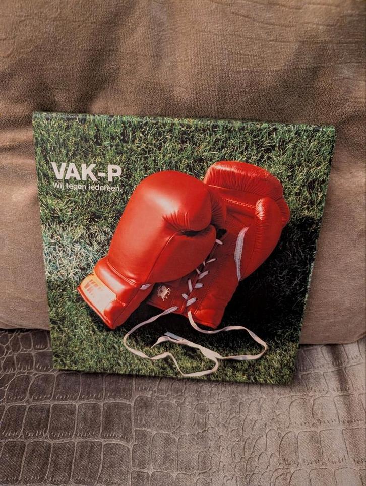 Vak-P wij tegen iedereen FC Twente, Boeken, Overige Boeken, Zo goed als nieuw, Ophalen of Verzenden