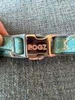 Puppy halsband en lijn, Ophalen of Verzenden, Zo goed als nieuw