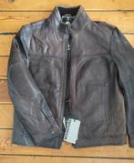 heren jas. Echt leer. nieuw. Merk Milestone. Maat XL, Kleding | Heren, Bruin, Milestone, Ophalen of Verzenden, Maat 56/58 (XL)
