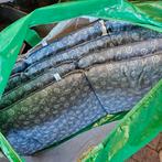 Isabella stoel kussens ongebruikt, Caravans en Kamperen, Ophalen of Verzenden, Zo goed als nieuw