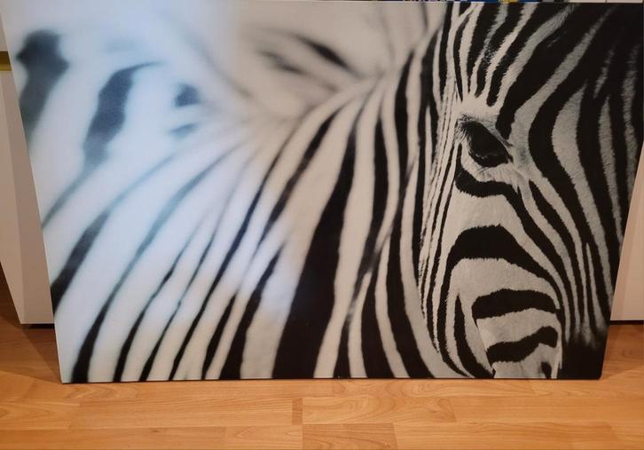 Groot Ikea Canvas Schilderij - Zebra, Huis en Inrichting, Woonaccessoires | Schilderijen, Tekeningen en Foto's, Zo goed als nieuw