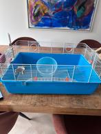 Hamsterkooi met toebehoren, Dieren en Toebehoren, Knaagdieren en Konijnen | Hokken en Kooien, Minder dan 60 cm, Minder dan 75 cm