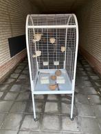 Vogelkooi, Dieren en Toebehoren, Ophalen of Verzenden, Zo goed als nieuw, Metaal, Vogelkooi