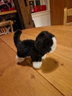 POES KNUFFEL, Ophalen of Verzenden, Poes