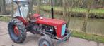 MF35 3 en 4cylinder., Ophalen of Verzenden, Tot 80 Pk