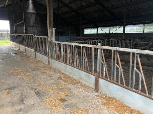Voerhek zelfsluitend jongvee spinder vaarzen kalveren, Dieren en Toebehoren, Stalling en Weidegang