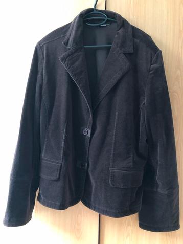 Bruine Blazer beschikbaar voor biedingen