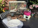 Mooie hamsterkooi, Dieren en Toebehoren, Knaagdieren en Konijnen | Hokken en Kooien, Kooi, Gebruikt, Minder dan 75 cm, Hamster