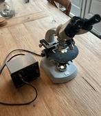 Carl Zeiss microscoop binoculair 788 x, Ophalen of Verzenden, Gebruikt, 400x tot 1000x, Biologische microscoop