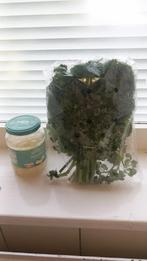 Gratis Verse Peterselie,zilveruitjes en wortelen, Diversen, Levensmiddelen, Ophalen