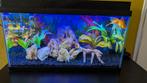 Aqaurium, Dieren en Toebehoren, Vissen | Aquaria en Toebehoren, Ophalen, Gebruikt, Gevuld zoetwateraquarium