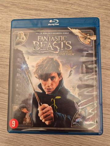 Fantastic Beasts Blu-ray - Avontuur! beschikbaar voor biedingen