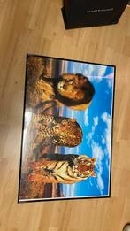 Poster met lijst, Huis en Inrichting, Ophalen, Zo goed als nieuw, Foto of Poster, Minder dan 50 cm