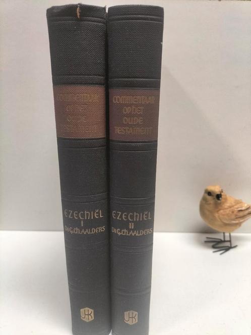 Aalders, Dr. G. Ch.; Commentaar op het Oude Testament: Ezec, Boeken, Godsdienst en Theologie, Gelezen, Christendom | Protestants