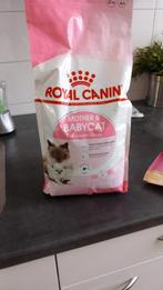 Moeder en kitten royal canin 2 kilo, Ophalen, Kat