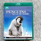 Penguins, Cd's en Dvd's, Blu-ray, Ophalen of Verzenden, Zo goed als nieuw, Documentaire en Educatief