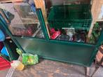 Windscherm groen met glas, Tuin en Terras, Ophalen, Gebruikt, 100 tot 150 cm, 150 tot 200 cm