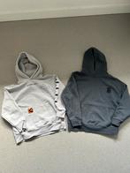 Zara hoodies maat 134, Kinderen en Baby's, Kinderkleding | Maat 134, Trui of Vest, Jongen of Meisje, Gebruikt, Ophalen of Verzenden