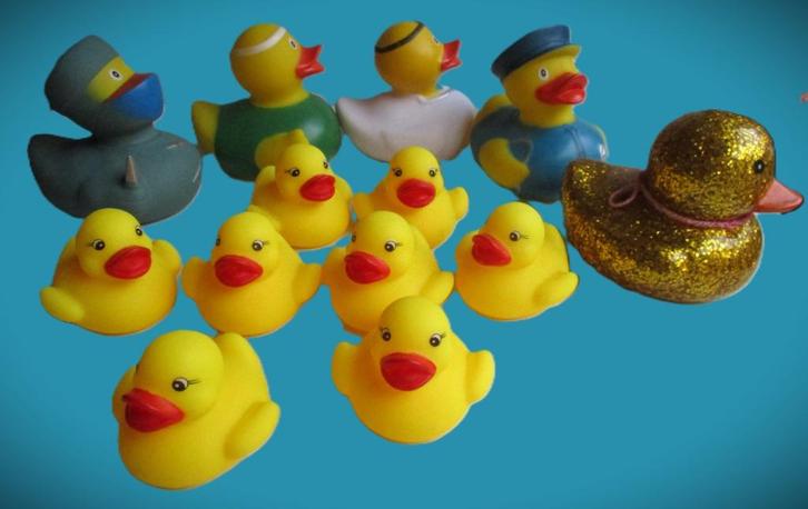 Eend~Badeend~Chirurg~12 Eendjes~Politie~Eenden, Verzamelen, Dierenverzamelingen, Nieuw, Beeldje of Figuurtje, Vogel, Ophalen of Verzenden