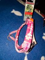 Nieuw tuigje en schokriem Maltezer boomer, Ophalen of Verzenden, Nieuw