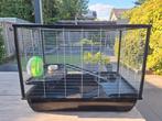 Hamsterkooi met veel toebehoren, Dieren en Toebehoren, Minder dan 60 cm, Kooi, Gebruikt, Minder dan 75 cm