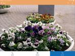 Plantenbak rond, Ophalen of Verzenden, Overige soorten, Volle zon
