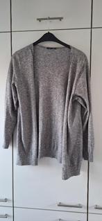 Twister Vest (Nieuw), Kleding | Dames, Trui of Vest, Nieuw, Ophalen of Verzenden, Grijs