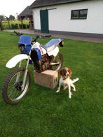 Honda MTX 50, Ophalen, Gebruikt, MTX, 0 versnellingen