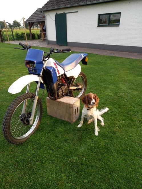 Honda MTX 50, Fietsen en Brommers, Brommers | Honda, Gebruikt, MTX, Ophalen