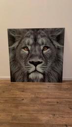 Leeuw op glas 80x80, Huis en Inrichting, Woonaccessoires | Schilderijen, Tekeningen en Foto's, Ophalen, Overige typen, Zo goed als nieuw