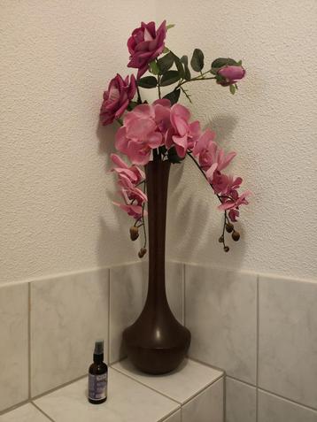 Mooie orchideeën in pot beschikbaar voor biedingen