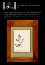 (Marcel Proust) Lemaire inkt tekening 1ste boek Proust 1896, Verzenden