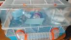 Hamsterkooi incl toebehoren, Dieren en Toebehoren, Minder dan 60 cm, Kooi, Gebruikt, Minder dan 75 cm