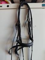 Anatomisch hoofdtelefoon maat cob, Ophalen of Verzenden, Zo goed als nieuw, Dressuur