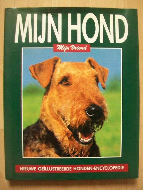 Mijn hond mijn vriend - Geïllustreerde honden-encyclopedie, Boeken, Dieren en Huisdieren, Zo goed als nieuw, Honden, Ophalen of Verzenden
