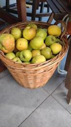 Biologische notaris appel, onbespoten appels, Ophalen